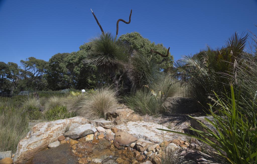 The Lakes Beachfront Holiday Park Lake Tyers Beach Exterior foto